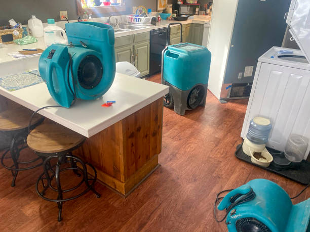 Best 24/7 water damage repair  in Idylwood, VA