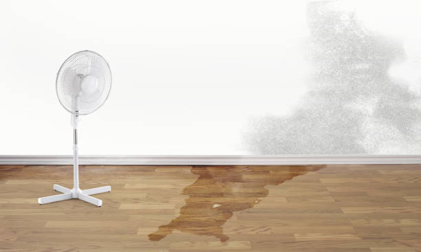 Best Water damage restoration near me  in Idylwood, VA
