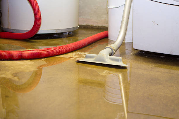 Trusted Idylwood, VA Water damage restoration Experts